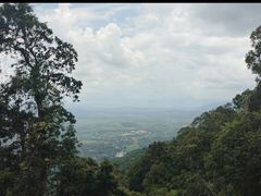 -海南热带雨林国家公园吊罗山景区