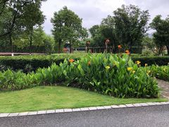 -白塘生态植物园