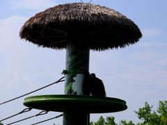 -上海野生动物园