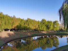 -莫子山公园
