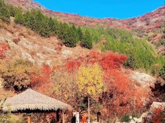 -香山公园