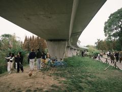 -白鹭湾湿地公园