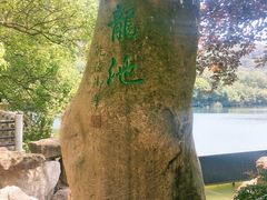 -白马涧龙池景区