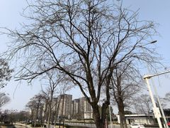 -新津老码头旅游小镇