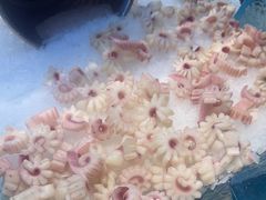 -新艺自助美食城(中山路店)