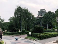 -神仙树公园
