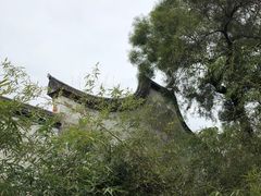 -金鸡山公园