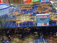 水产区-三亚新鸿港水果一级批发市场