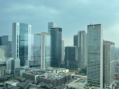 -成都尼依格罗酒店