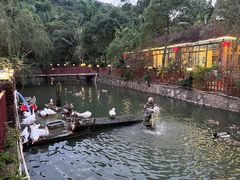 -香山小厨(南联路店)