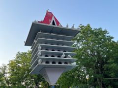 -张店儿童公园