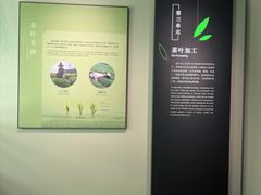 -中国茶叶博物馆(双峰馆区)