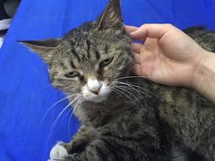 -延成苑韩式烤肉店(长春道店)