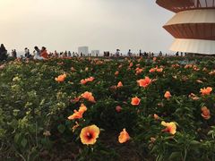-光明小镇欢乐田园