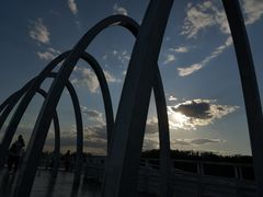 -大兴滨河森林公园