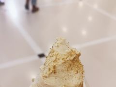 -野人先生现做冰淇淋(北京王府井东方新天地店)
