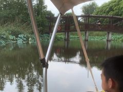 -同里国家湿地公园