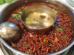 -蛙两只美蛙鱼头火锅(恒茂店)