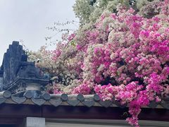 -深圳国际园林花卉博览园