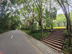 -深圳国际园林花卉博览园