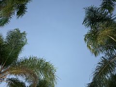 -南宁南湖公园