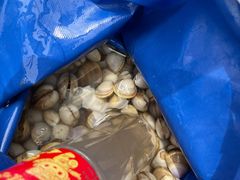 -启东黄金海滩景区