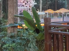 -二荆条·蜀鲜汇城市森林火锅