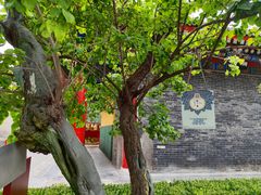 -西安市广仁寺