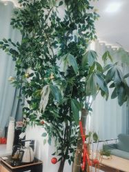 -痘院长·祛痘·科技美肤