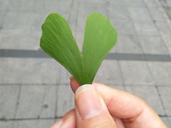 -满记甜品(日月光二店)