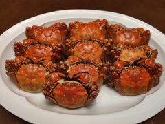 -鹭城轩·中餐厅(厦门康莱德酒店)