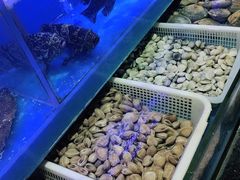 水产区-臻悦海宴.家宴(奥体中心店)
