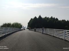 -贡湖湾湿地公园