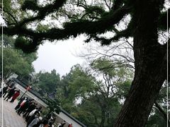 -江心屿景区