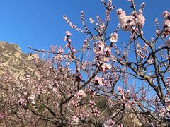 -北京凤凰岭
