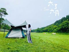 -武陵山森林公园