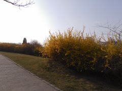 景点-甘井子公园