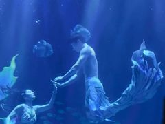 -华夏文旅海洋公园