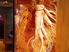 -长寿参鸡汤(朝韩风情街店)