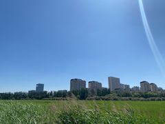 -五当召景区
