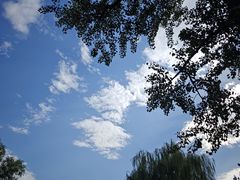 -团结湖公园