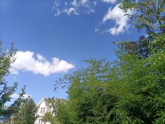-西西里轰趴日租聚会别墅·团建拓展