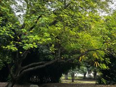 -堤角公园