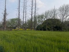 -嘉北郊野公园