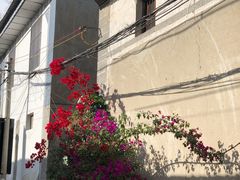-阿鹏故事云南野生菌火锅(人民路店)