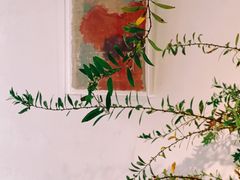 门面-曲廊院(东四十一条店)