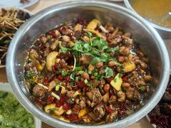 -食神又名厕所兔
