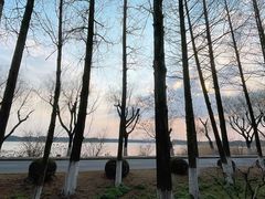 -太阳岛度假酒店