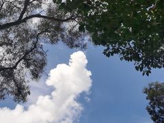 -澳洲牛奶公司(佐敦店)