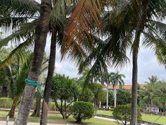 -三亚海棠湾万丽度假酒店